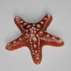 Пластиковая форма Морская звезда