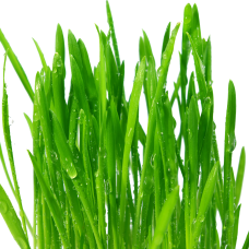 Свежескошенная трава отдушка