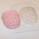 Пластиковая форма Мозг