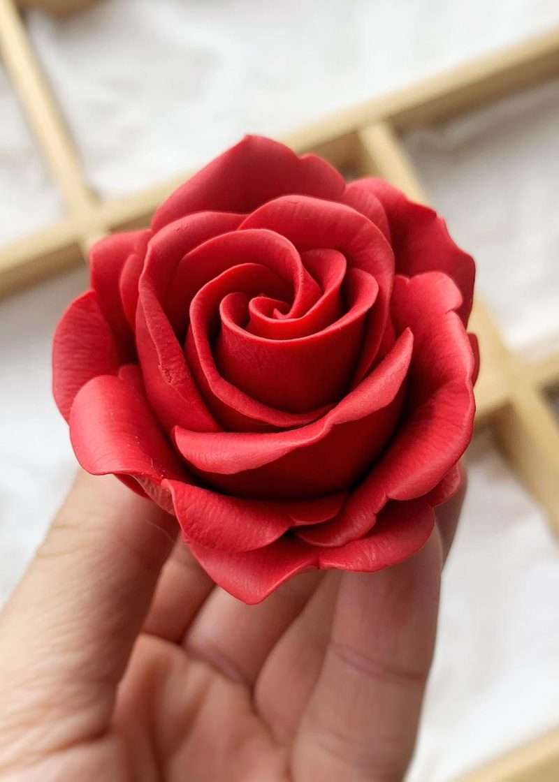Троянда Бабл