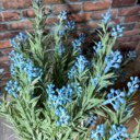 Осока з квітами