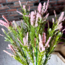 Осока з квітами Осока з квітами