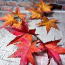 Осока з квітами