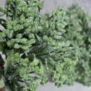 Гілочка новорічна в блискітках